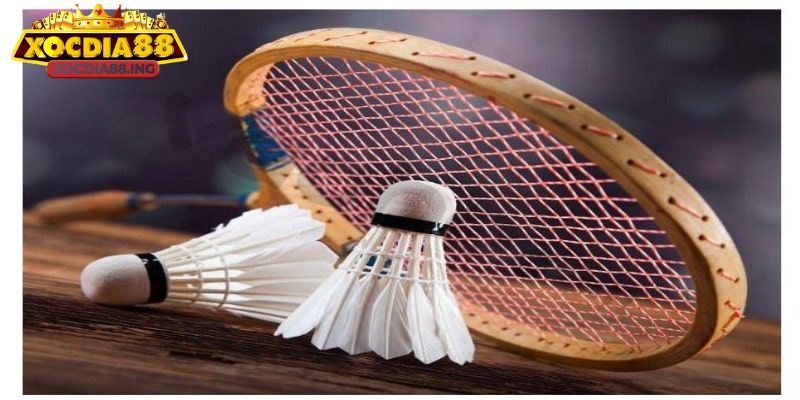 Cá cược cầu lông đẳng cấp