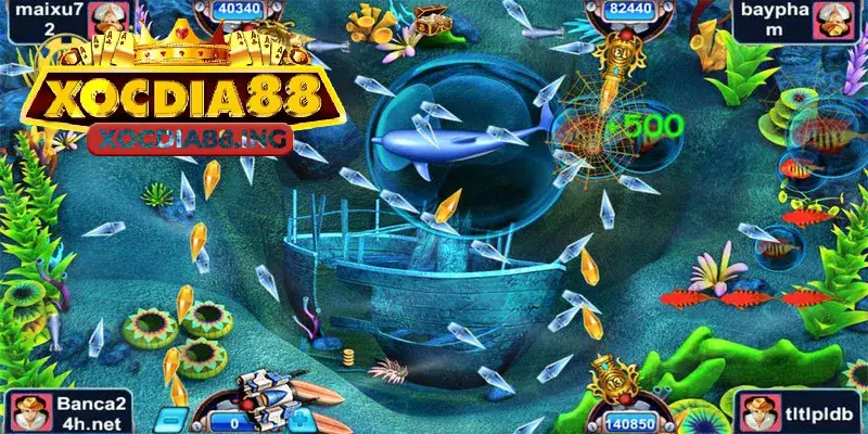 Cách săn cá one piece đơn giản