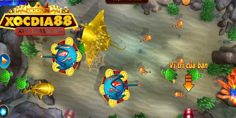 Chiến thuật bắn ria phù hợp với người mới bắt đầu bắn cá