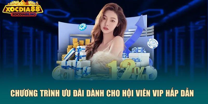 Chương trình ưu đãi dành cho hội viên VIP hấp dẫn
