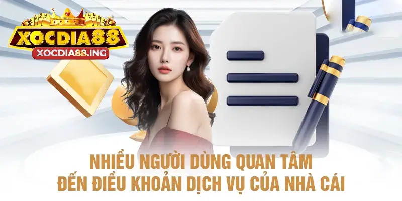 Điều khoản dịch vụ Xocdia88 yêu cầu người chơi đủ 18 tuổi trở lên