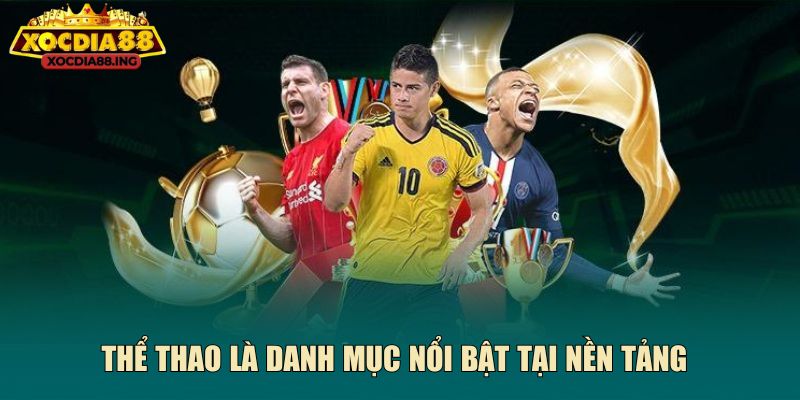 Thể thao là danh mục nổi bật tại nền tảng